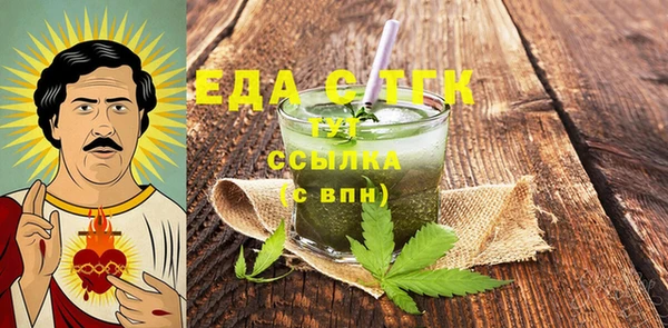 индика Алексин
