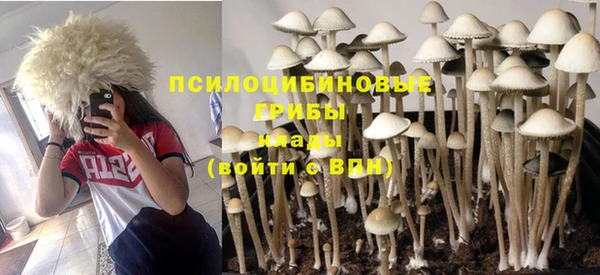 индика Алексин