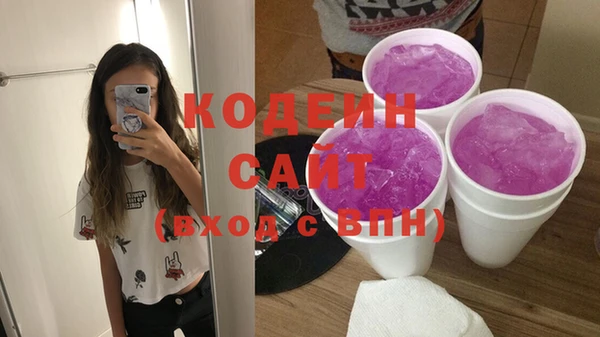 индика Алексин