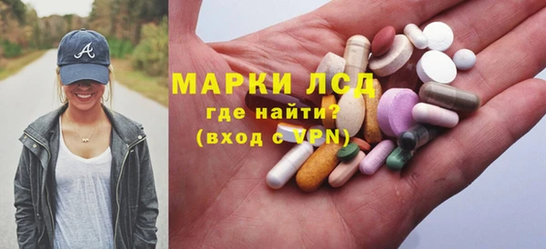 индика Алексин