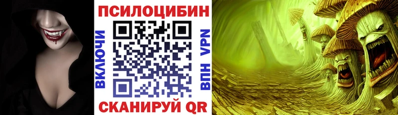 блэк спрут как войти  Константиновск  Галлюциногенные грибы мицелий 